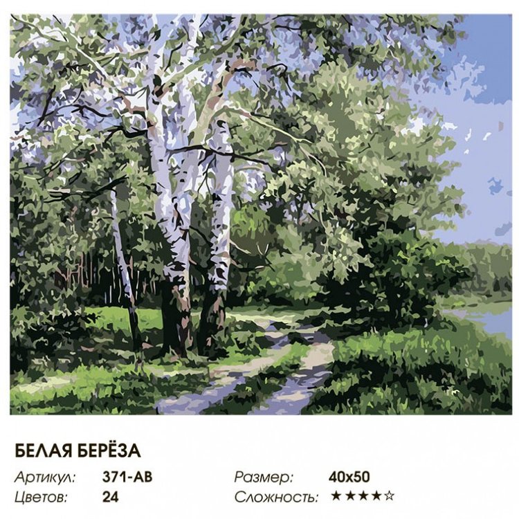 Картина по номерам «Белая береза» — картинка 2