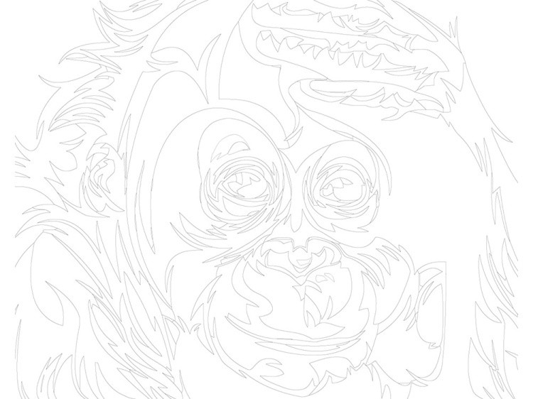 Картина по номерам «Разноцветная шимпанзе» — картинка 3