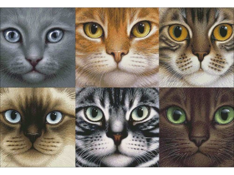 Алмазная вышивка «Коты» — картинка 2