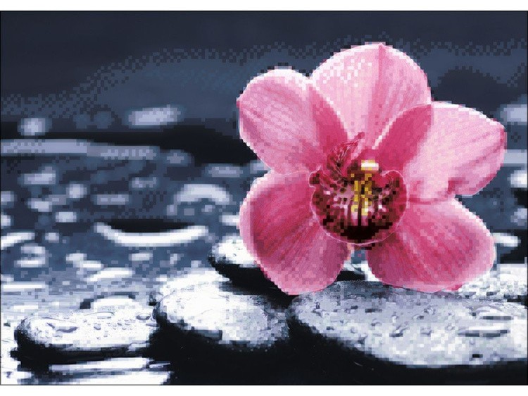 Алмазная вышивка «Орхидея Ванда» — картинка 2