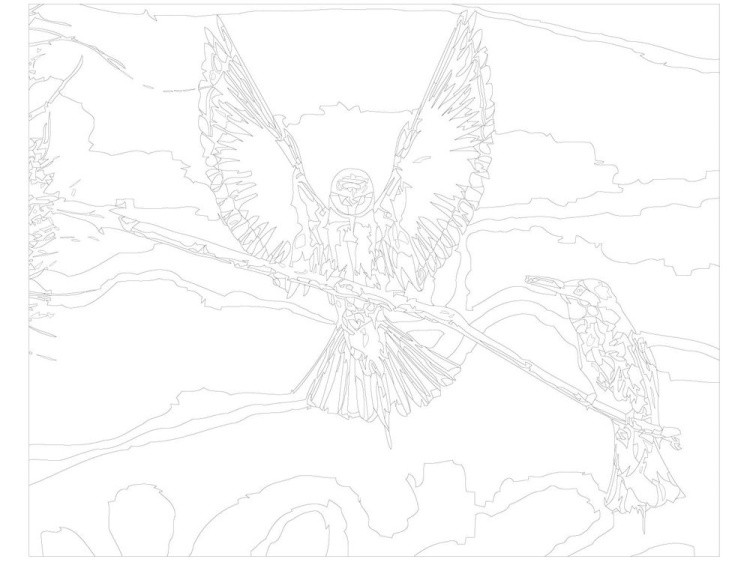 Картина по номерам «Птицы на ветке» — картинка 3