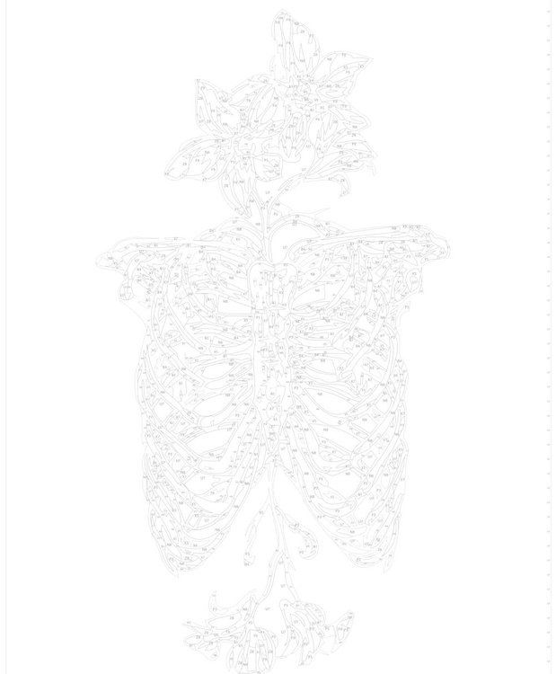 Картина по номерам «Скелет и цветы» — картинка 3