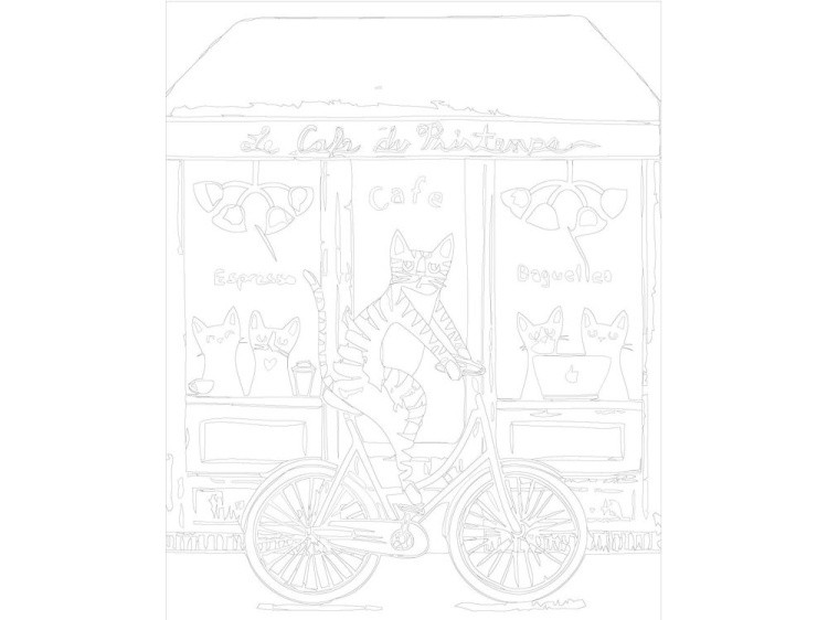 Картина по номерам «Кот-велосипедист» — картинка 3