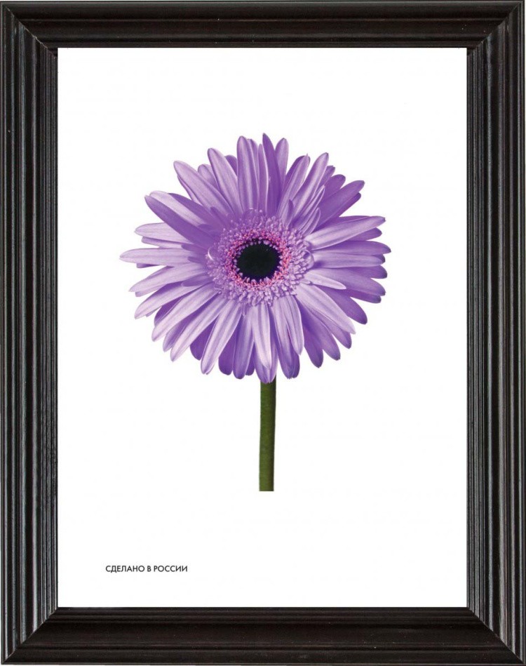 Рамка для картин «Liza» — картинка 2