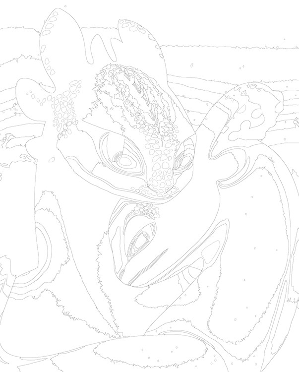 Картина по номерам «Как приручить дракона: Беззубик и Фурия» — картинка 3