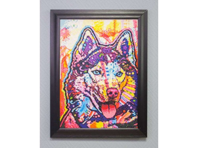 Алмазная вышивка «Яркая лайка» — картинка 4