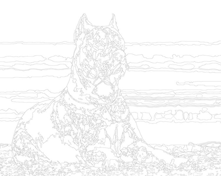 Картина по номерам «Собака Кане корсо на пляже, море 40x50» — картинка 3