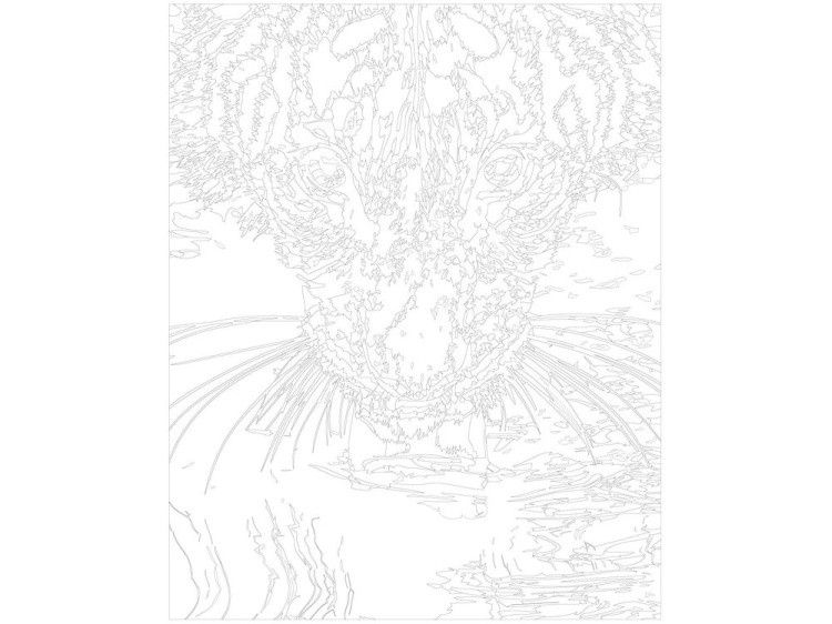 Картина по номерам «Лакающий тигр» — картинка 3