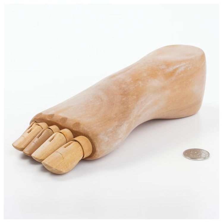 Манекен художественный «Стопа», длина 25 см., мужская правая, дерево, BRAUBERG ART CLASSIC  — картинка 4