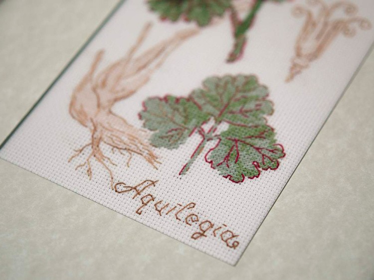 Набор для вышивания «Аквилегия» — картинка 4