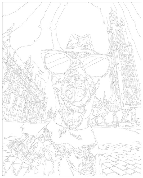 Картина по номерам «Собака доберман: селфи в очках на отдыхе» — картинка 3