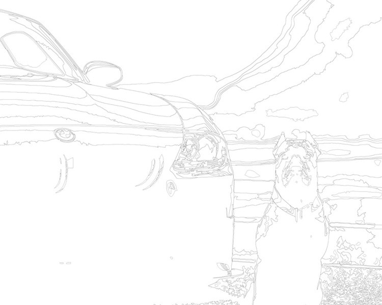 Картина по номерам «Машина BMW и собака Кане-корсо монохром» — картинка 3