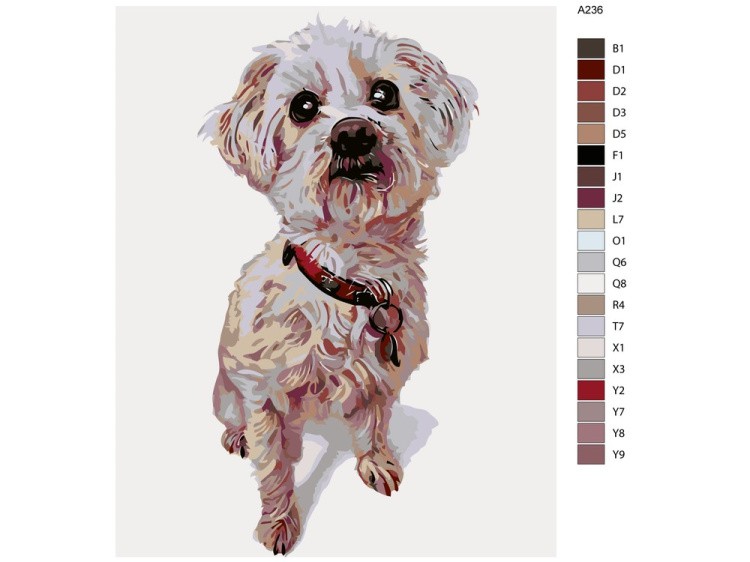 Картина по номерам «Тобиас» — картинка 2