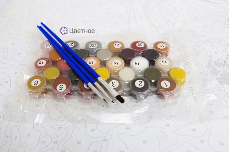 Картина по номерам «Хомячок» — картинка 3