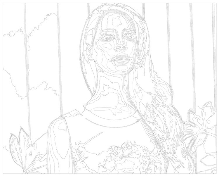 Картина по номерам «Lana Del Rey Лана Дель Рей 5» — картинка 3