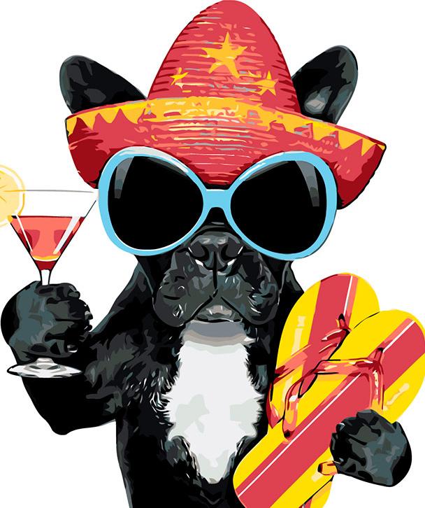 Картина по номерам «Пёс-мексиканец»
