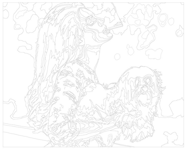 Картина по номерам «Lana Del Rey Лана Дель Рей: С сигаретой 2» — картинка 3