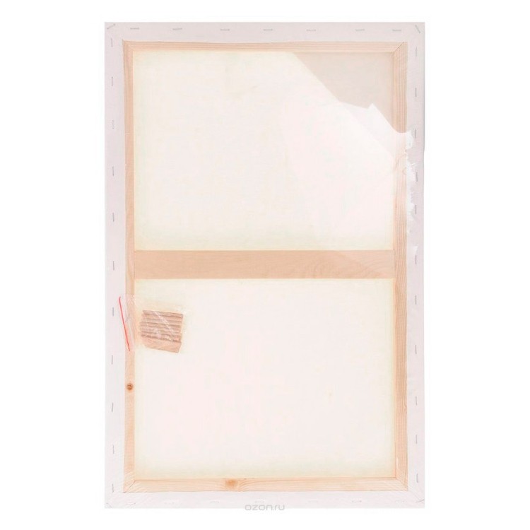 Холст грунтованный на подрамнике Малевичъ, хлопок, 30x60 см — картинка 2