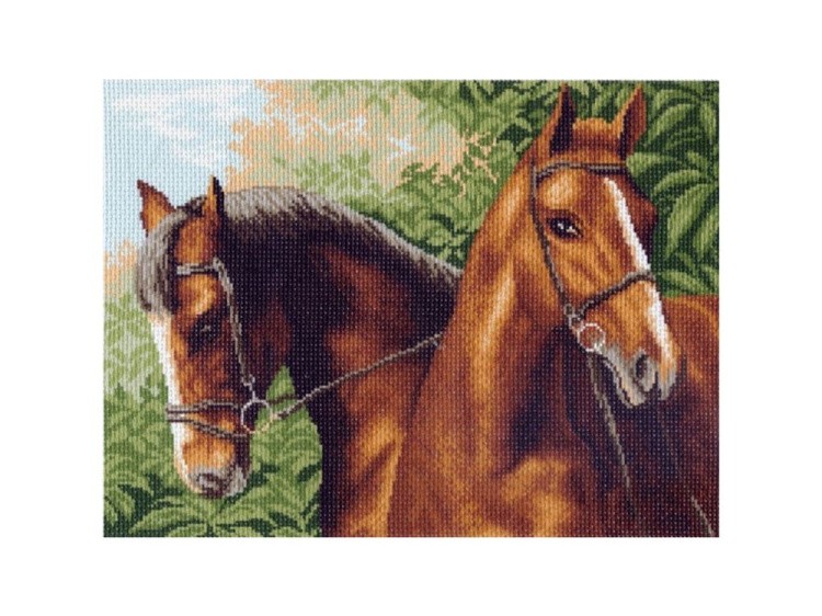 Рисунок на канве «Пара лошадей»