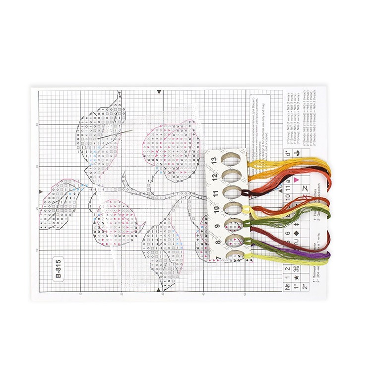 Набор для вышивания «Физалис» — картинка 2