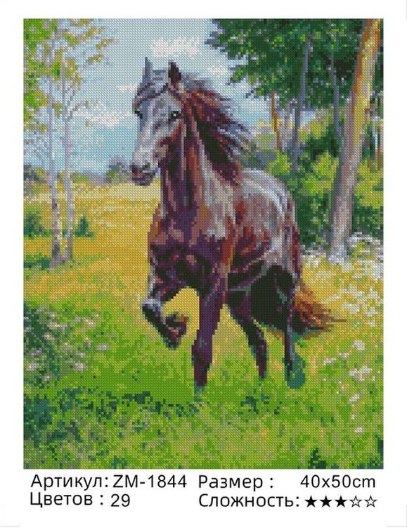 Алмазная вышивка «Вперед» — картинка 2