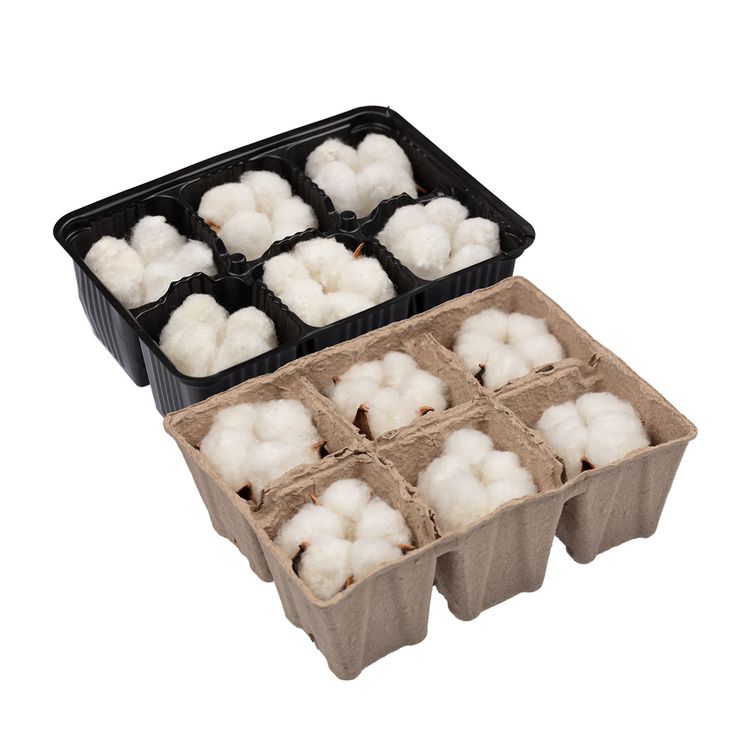 Декоративные элементы Blumentag Коробочки хлопка, 6 шт. — картинка 2