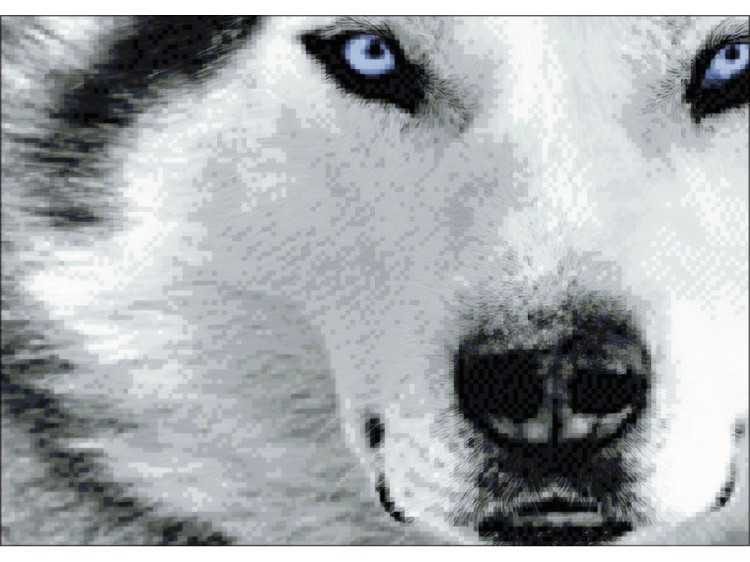 Алмазная вышивка «Волк» — картинка 2