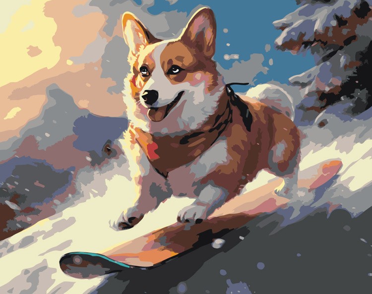 Картина по номерам «Собака корги катается на сноуборде»