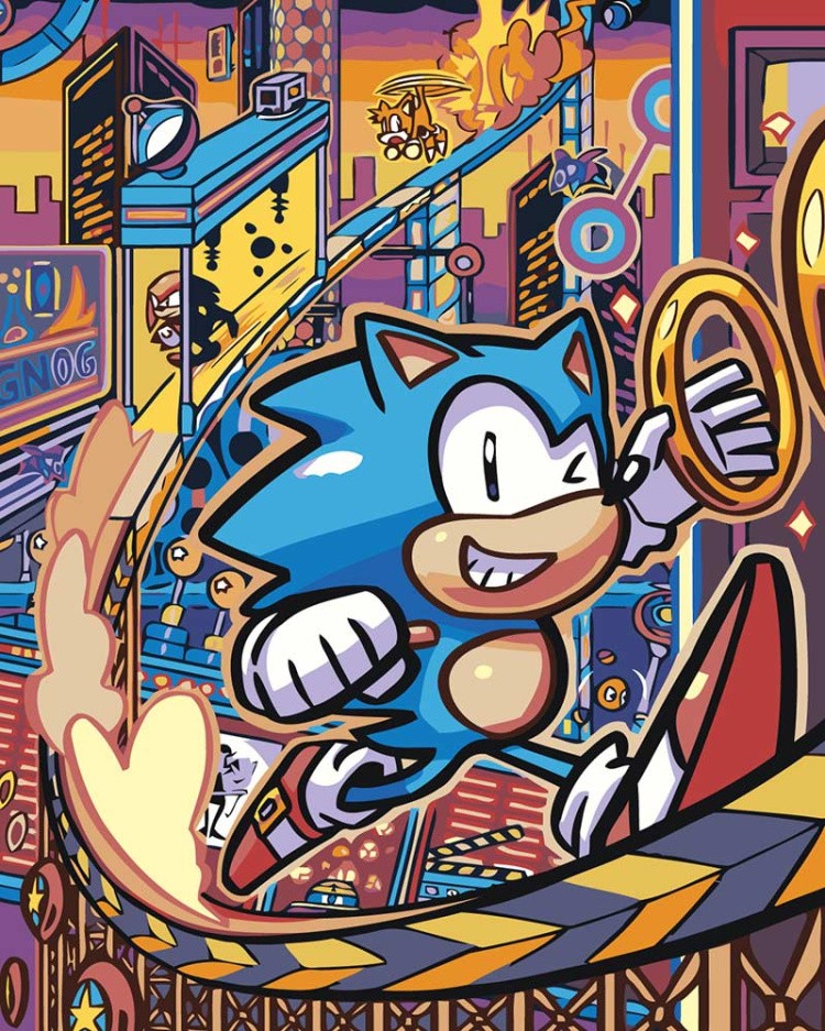 Картина по номерам «Игра Соник Sonic: ёж и кольца в городе»