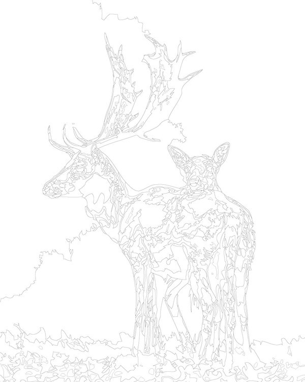 Картина по номерам «Олень и олененок» — картинка 3