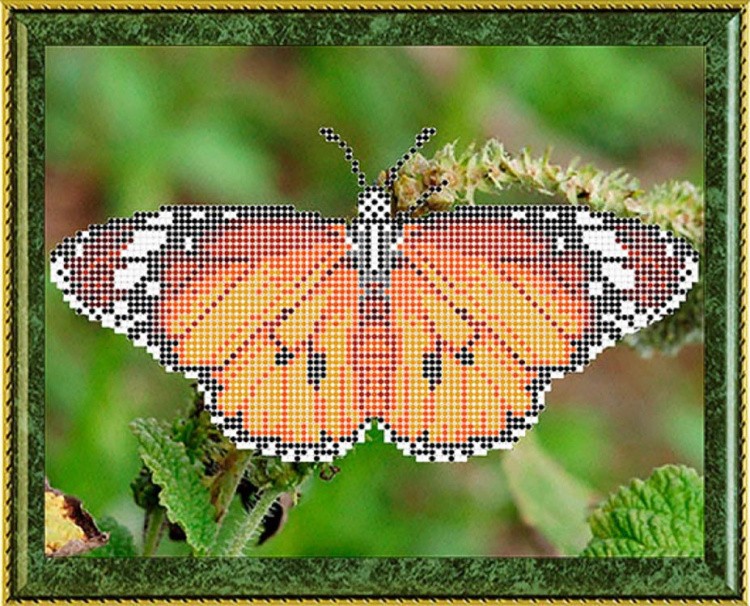 Рисунок на ткани для вышивания бисером «Данаида Хризипп» — картинка 2