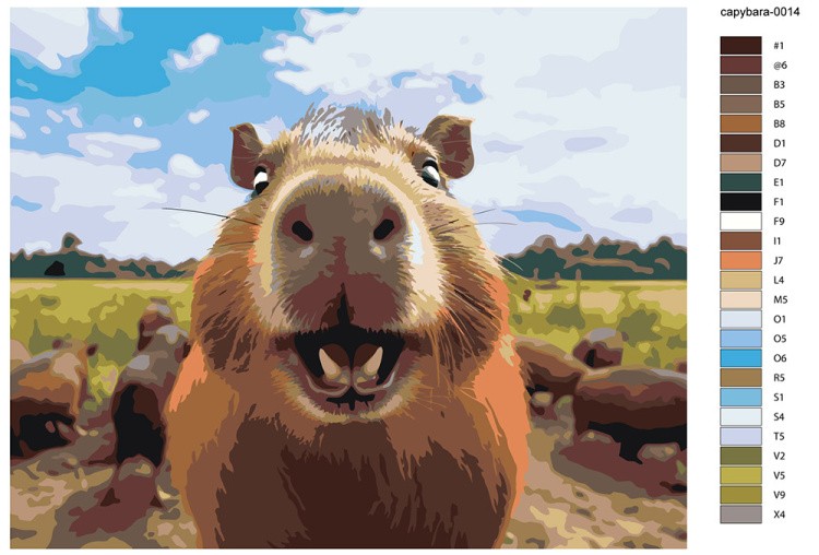 Картина по номерам «Удивленная капибара» — картинка 2