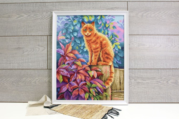 Алмазная вышивка «Деревенский житель» — картинка 2