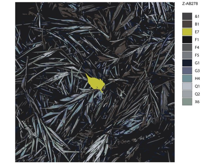 Картина по номерам «Одинокий листик» — картинка 2