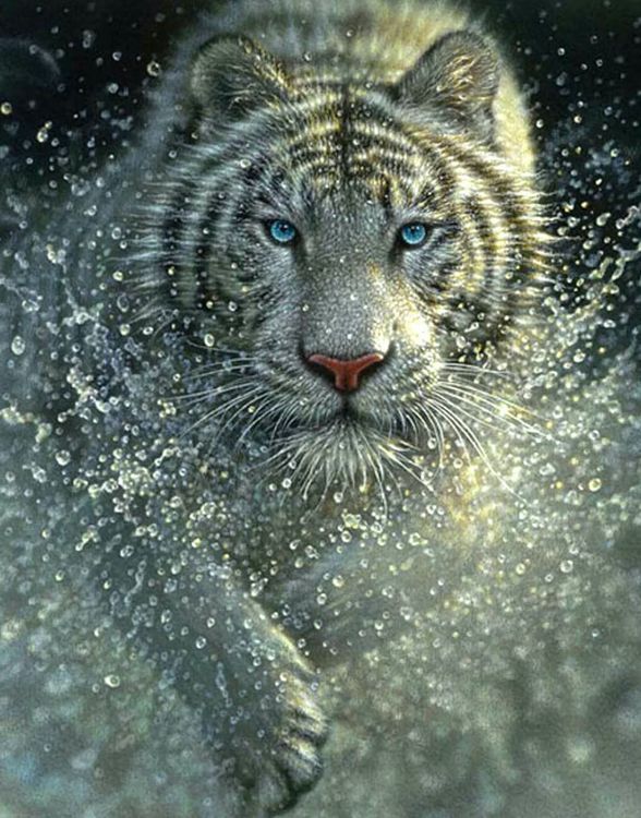 Алмазная вышивка «Белый тигр» — картинка 2