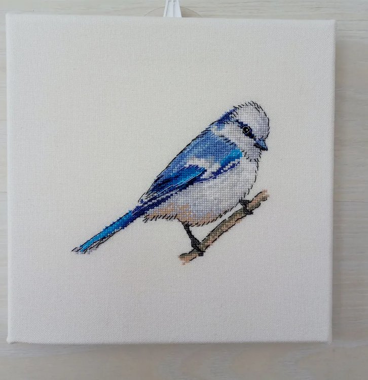 Набор для вышивания «Князёк. Белая лазоревка» — картинка 2