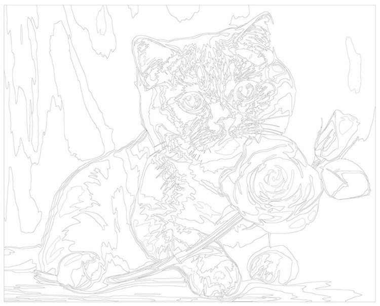 Картина по номерам «Британский котенок с красной розой» — картинка 3