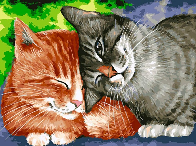 Картина по номерам «Кошачьи ласки»