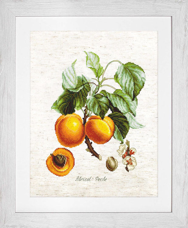 Набор для вышивания «Персики» — картинка 2