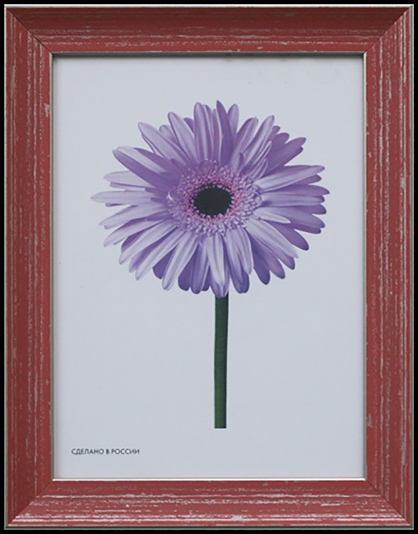 Рамка для картин «Jasmin» 15х20 см — картинка 4