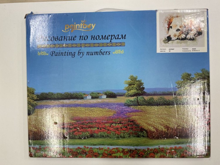 УЦЕНКА. Картина по номерам «Верный друг» (порвана коробка) — картинка 2