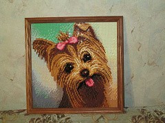 Алмазная вышивка «Йоркширский терьер»